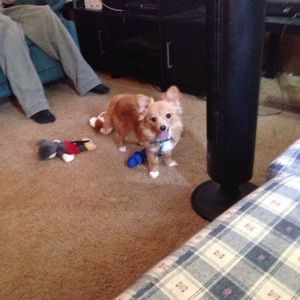 Meet your Posher, April